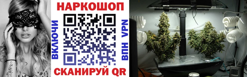  COCAIN Назарово